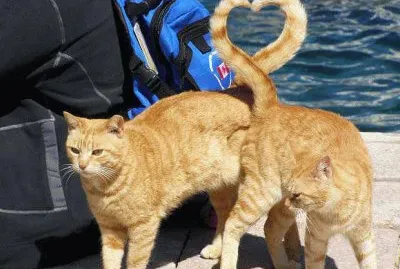 corazÃ³n