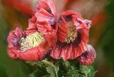 imagens jigsaw puzzle