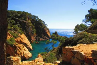 oceanrose jigsaw puzzle