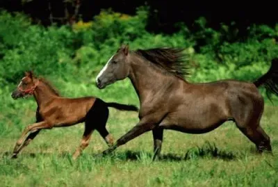 june18 jigsaw puzzle