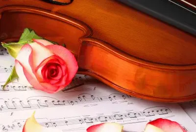 multicolor jigsaw puzzle