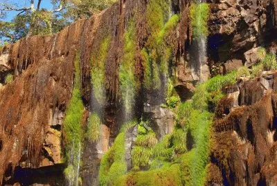 En el PN IguazÃº. Misiones. Argentina