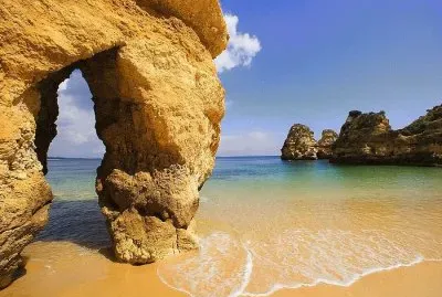 natureza jigsaw puzzle