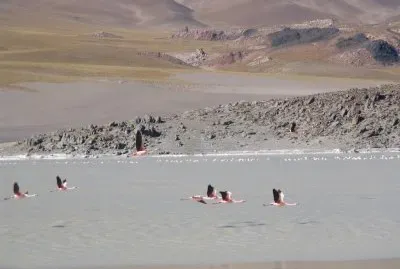 Laguna Grande. Catamarca. Argentina