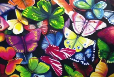 borboletas