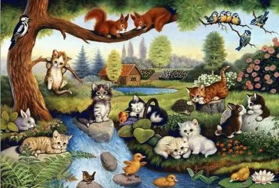 gatos
