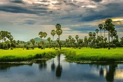 My Homelandâ€‹, Cambodia