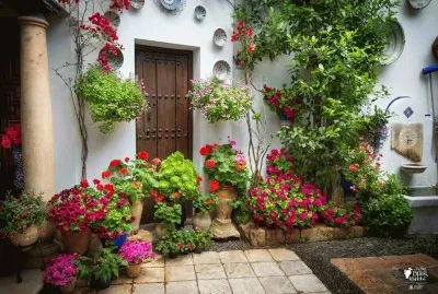 פאזל של CenÃ¡rio