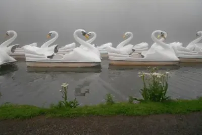 As paisagens mais bonitas do RS