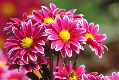 Hecho para quitar el aburrimiento