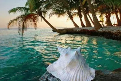 imagens jigsaw puzzle