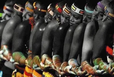 La belleza de los contrastes de colores jigsaw puzzle