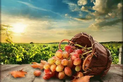 פאזל של imagens