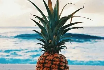 פאזל של Pineapple