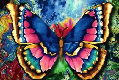 פאזל של So Wouw