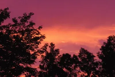 Fiery Renous sunrise..just before the rain!