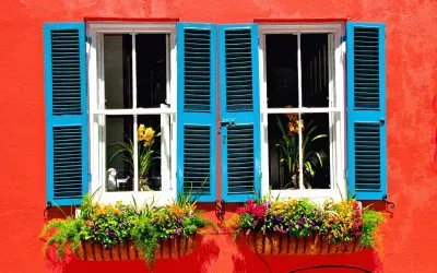 פאזל של NATUREZA