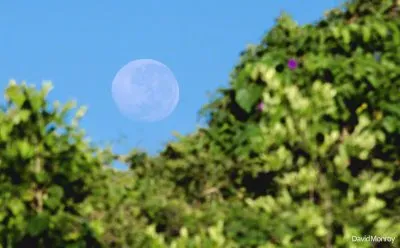 פאזל של Super Luna