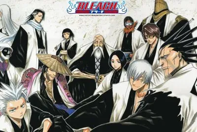 bleach jigsaw puzzle