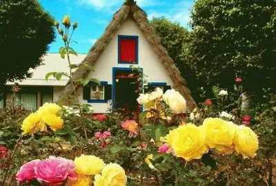 cabana