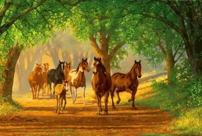 cavalos jigsaw puzzle