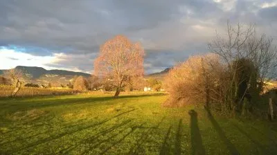Paysage champÃªtre