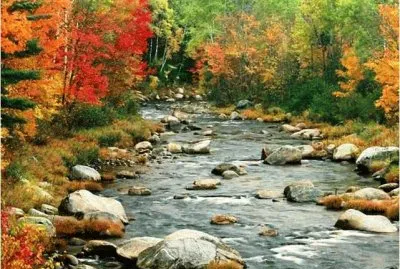 autumn-139