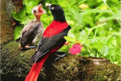 mom#219 jigsaw puzzle