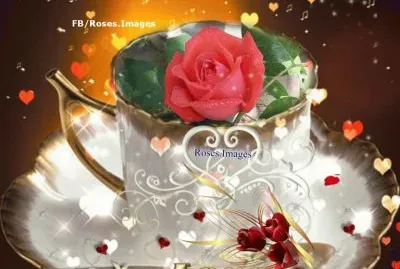 imagens jigsaw puzzle