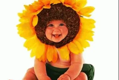 boccioli jigsaw puzzle