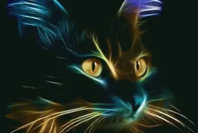 Rainbow 'sCat jigsaw puzzle