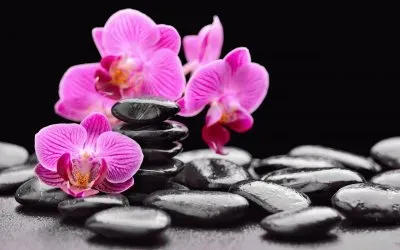 uztf rtdtrdutf vfzt jigsaw puzzle