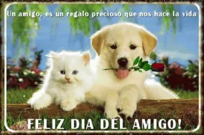 Feliz DÃ­a del Amigo jigsaw puzzle