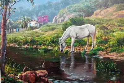 cavalos