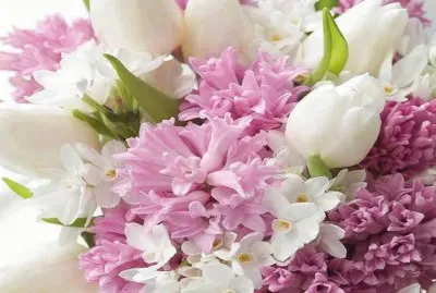 Ramillete rosa y blanco