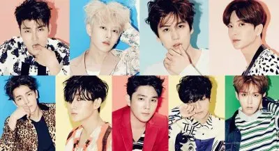 suju jigsaw puzzle