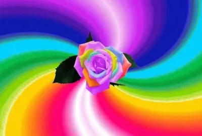 פאזל של imagens