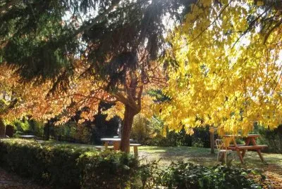 Cerca de Bariloche. RÃ­o Negro. Argentina