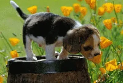 NATURALEZA VZLA
