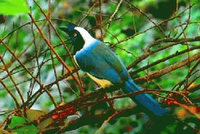 NATURALEZA VZLA