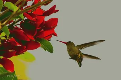 imagens jigsaw puzzle