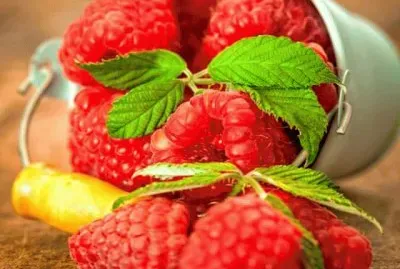 פאזל של imagens