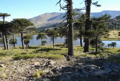 Caviahue. NeuquÃ©n. Argentina