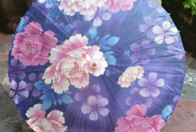 Pretty Handmade Chinese Parasol