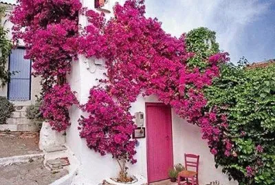 Alonnisos-Mar Egeo(Grecia)