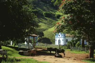 campo