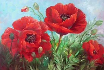 amapolas