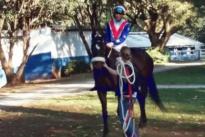 Horse at Summerveld