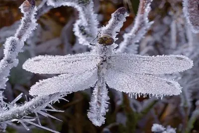 winter-141 jigsaw puzzle