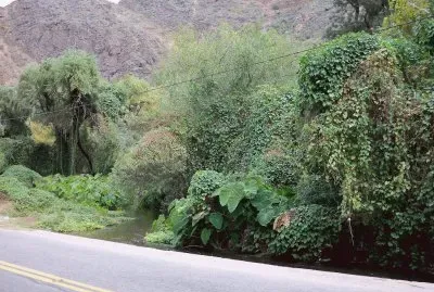 En la Ruta 75. La Rioja. Argentina
